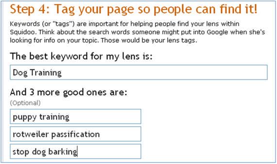 Step 4 is very important too from an SEO point of view and this is where you tag your lenses.