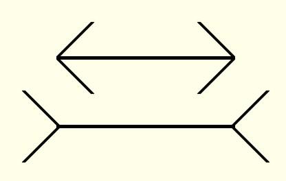 Muller-Lyer illusion What things should