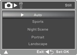 [ ] Night: Select this mode when you want to capture dark scenes such as night views.