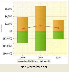 Net Worth by Year - Standard Drill Down