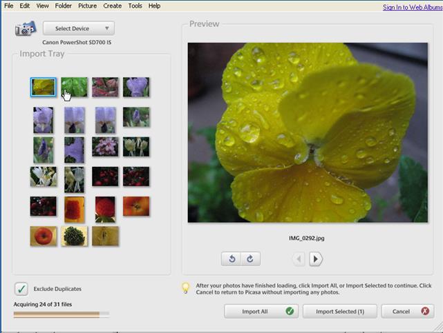 To the right is what Picasa calls the Light Box, which shows the pictures included in the highlighted folder.