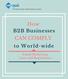 How B2B Businesses CAN COMPLY. to World-wide.  Marketing Laws and Regulations