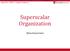 Superscalar Organization