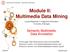 Module II: Multimedia Data Mining