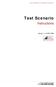 TEXAS DEPARTMENT OF INFORMATION RESOURCES. Test Scenario. Instructions. Version DEC 2006