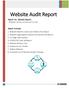 Website Audit Report