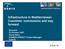 Infrastructure in Mediterranean Countries: conclusions and way forward