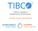 TIBCO Spotfire Statement of Direction. Spotfire Product Management