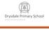 Drysdale Primary School NETBOOK PROGRAM INFORMATION