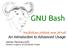 GNU Bash. An Introduction to Advanced Usage.  James Pannacciulli Systems (mt) Media Temple