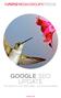 google SEO UpdatE the RiSE Of NOt provided and hummingbird october 2013