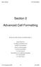 Section 2. Advanced Cell Formatting
