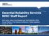 Essential Reliability Services NERC Staff Report