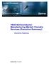 YE02 Semiconductor Manufacturing Market: Foundry Services (Executive Summary) Executive Summary