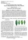 An Empirical Investigation of Olive Leave Spot Disease Using Auto-Cropping Segmentation and Fuzzy C-Means Classification