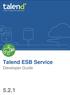Talend ESB Service. Developer Guide 5.2.1