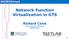 Network Function Virtualization in GTS