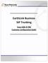 EarthLink Business SIP Trunking. Cisco CME IP PBX Customer Configuration Guide