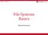 Fall 2017 :: CSE 306. File Systems Basics. Nima Honarmand