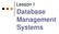 Lesson I. Database Management Systems