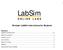 LabSim O N L I N E L A B S. Browser LabSim Instructions for Students