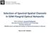 Selection of Spectral-Spatial Channels in SDM Flexgrid Optical Networks