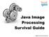 Java Image Processing Survival Guide. Siegfried Goeschl & Harald Kuhr