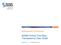 Multi-Sponsor Environment. SAS Clinical Trial Data Transparency User Guide