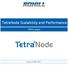 TetraNode Scalability and Performance. White paper