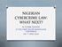 NIGERIAN CYBERCRIME LAW: WHAT NEXT? BY CHINWE NDUBEZE AT THE CYBER SECURE NIGERIA 2016 CONFERENCE ON 7 TH APRIL 2014