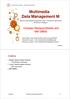 Multimedia Data Management M