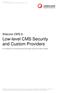 Low-level CMS Security and Custom Providers