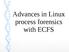 Advances in Linux process forensics with ECFS