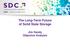 The Long-Term Future of Solid State Storage Jim Handy Objective Analysis