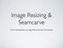Image Resizing & Seamcarve. CS16: Introduction to Algorithms & Data Structures