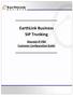EarthLink Business SIP Trunking. Shoretel IP PBX Customer Configuration Guide