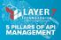 5 Pillars of API. management