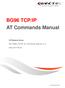 BG96 TCP/IP AT Commands Manual