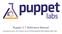 Puppet 2.7 Reference Manual. (Generated on July 01, 2013, from git revision 46784ac1656bd7b57fcfb51d0865ec7ff65533d9)