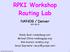 RPKI Workshop Routing Lab