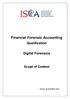 Financial Forensic Accounting
