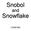 Snobol. Snowflake. and COMP360