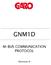 GNM1D M-BUS COMMUNICATION PROTOCOL. Revision 0