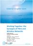Working Together: the Synergies of Fibre and Wireless Networks A White Paper by the Deployment & Operations Committee