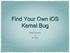 Find Your Own ios Kernel Bug. Chen Xiaobo & Xu Hao