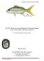 The 2012 Stock Assessment Report for Yellowtail Snapper in the South Atlantic and Gulf of Mexico