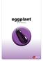eggplant TM eggplant RITA BAsIcs