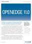openedge 11.0 Progress OpenEdge