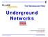 Underground Networks. Tony Fortunato Sr Network Performance Specialist. The Technology Firm The Technology Firm
