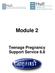 Module 2. Teenage Pregnancy Support Service 6.8